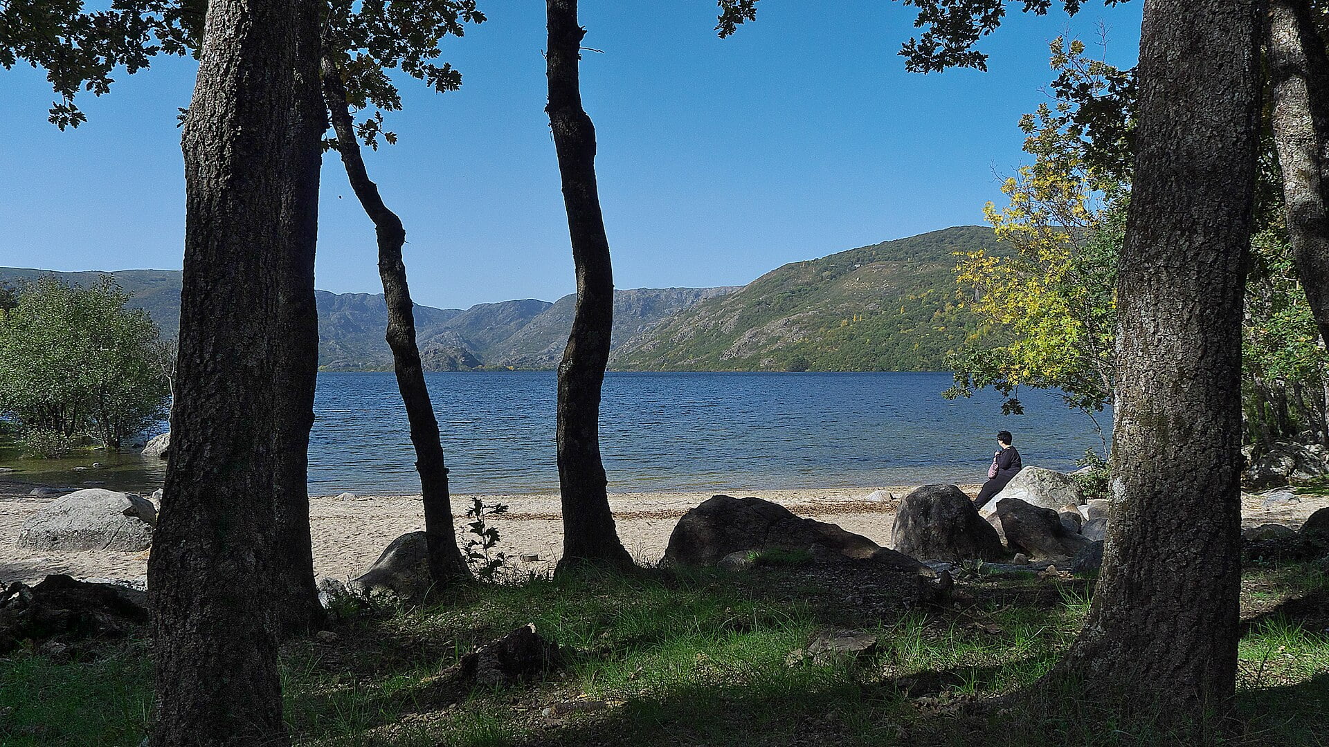Vista del Lago de Sanabria rodeado de árboles y montañas